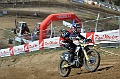 _ROB6928 (Copy)